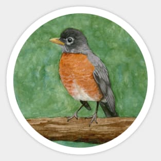 Robin Sticker